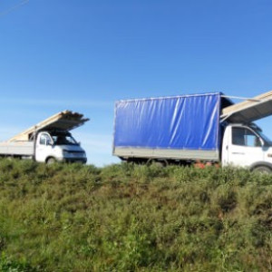 Грузоперевозки Газель Грузчики