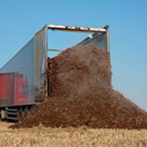 Грузоперевозки опилок, стружки, торфа, щепы