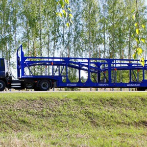 перевозим авто ПО городам россии