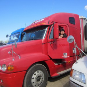 Freightliner, штора-борт, нал-безнал, по договору