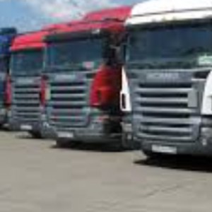 Быстрые и качественные перевозки лошадей