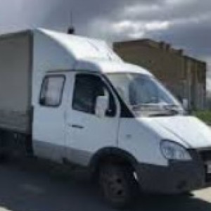 Грузоперевозки коней, быстрая доставка