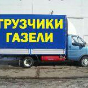 Перевозки