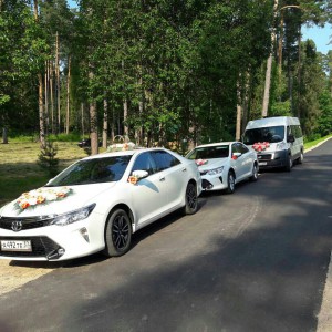 Свадебный картеж. Трансфер Москва аэропорты