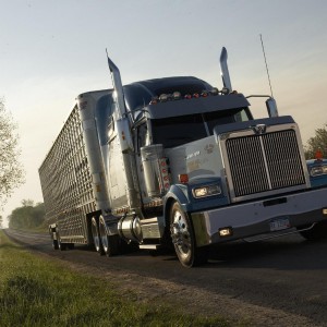 Диспетчерство