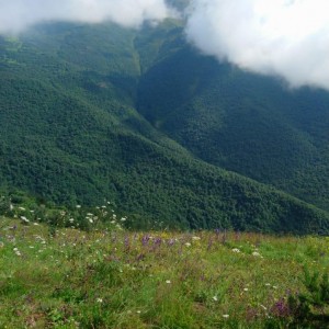 Поездки в горы