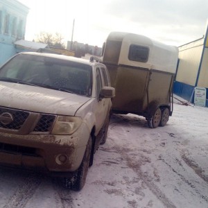 Коневоз/ Перевозка всех видов животных