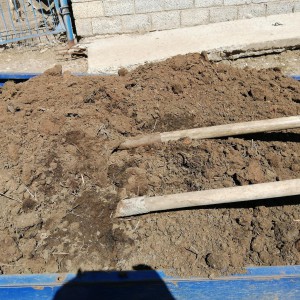 Перегной, земля