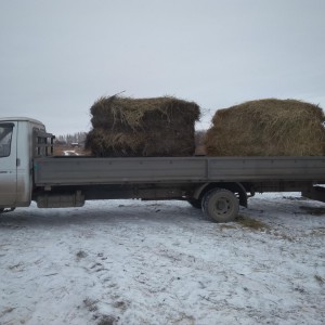 Грузоперевозки. Газель. Вывоз мусора