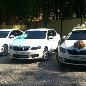 Octavia A7 в аренду