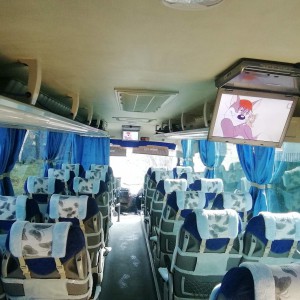 Пассажирские перевозки