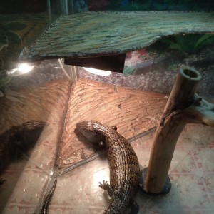 Доставка. Курьерские услуги