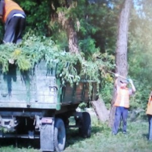 Услуги грузчиков, разнорабочих. Грузоперевозки