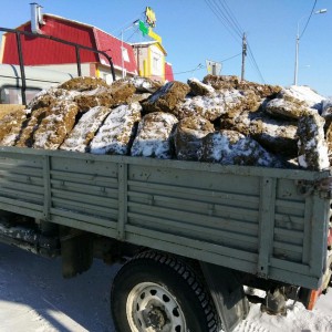 Доставка балбахов