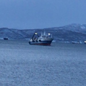 Грузчики. Грузоперевозки