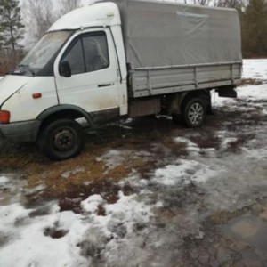 Грузоперевозки. Перевозка животных