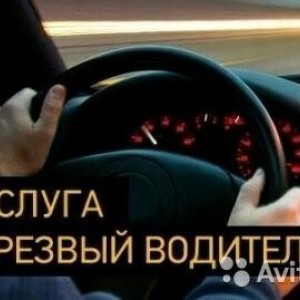 Трезвый водитель