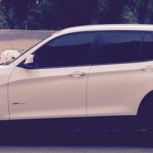 Авто на свадьбу BMW X3