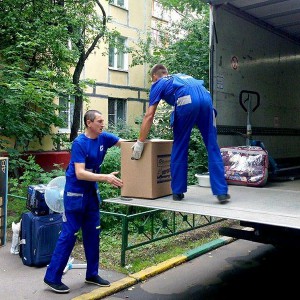 Я предлагаю услуги по вывозу любого мусора