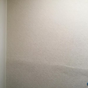 Водитель категории Е