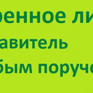 Предоставляю услуги представителя, автокурьера
