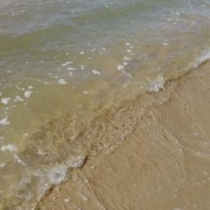 Экскурсии на куржскую косу