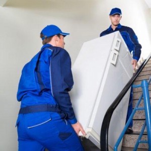 Услуги грузчиков!