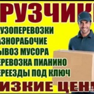 Грузчики, Грузоперевозки