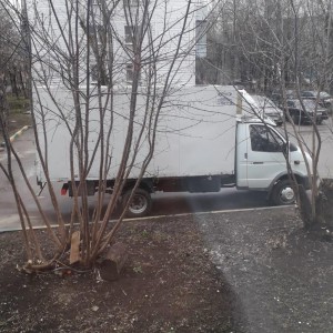 Грузоперевозки