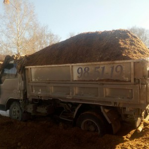 Перегной, навоз: говяжий, конский, куриный
