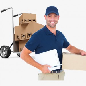 Вывоз мусора. Грузчики