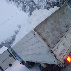 Услуги грузоперевозки бортового грузовика самосвала