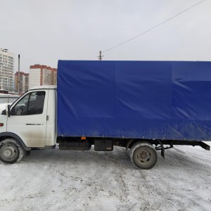 Удлинённая газель