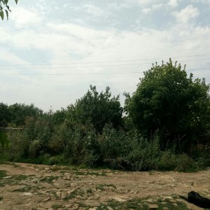 Приму строительный мусор