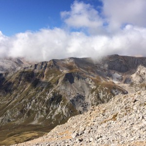 Пассажирские перевозки и грузоперевозки