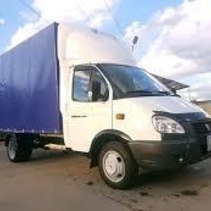 Грузоперевозки