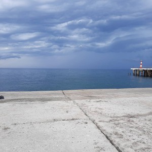 Трезвый водитель