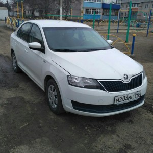 Skoda Rapid с водителем