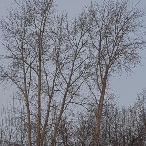 Вывоз мусора бесплатный вывоз металолома