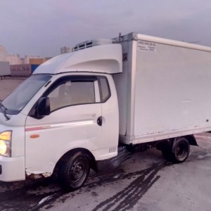 Водитель на личном грузовом рефрежераторе