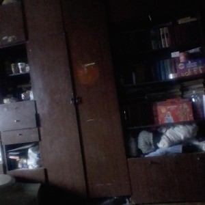 Грузчики круглосуточно