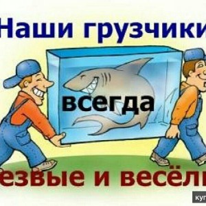 Грузчики