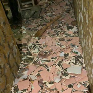 Вывоз мусора, хлама, грузоперевозки, грузчики