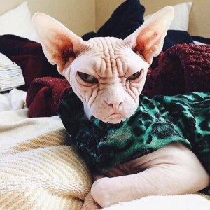 Водитель с личным авто