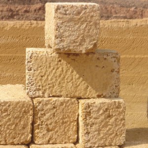 Ракушка по Крыму и Севастополю