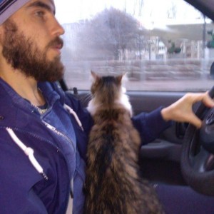 Трезвый водитель Смоленск