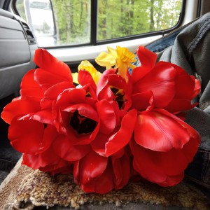 Грузоперевозки