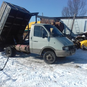 Перевожу животных и грузы