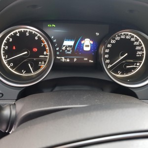 Трезвый водитель