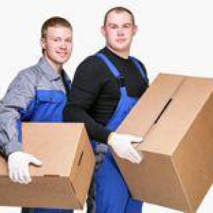 Грузоперевозки, грузчики